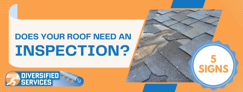 Peace of Mind for Your Home: Top Signs You Need a Roof Inspection Blog Cover